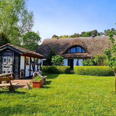 Appartamento Alte Und Neue Buednerei Groß Zicker Esterno foto