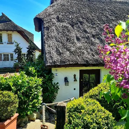 Appartamento Alte Und Neue Buednerei Groß Zicker Esterno foto