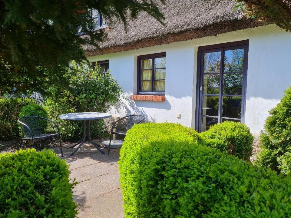 Alte Und Neue Buednerei Apartment *